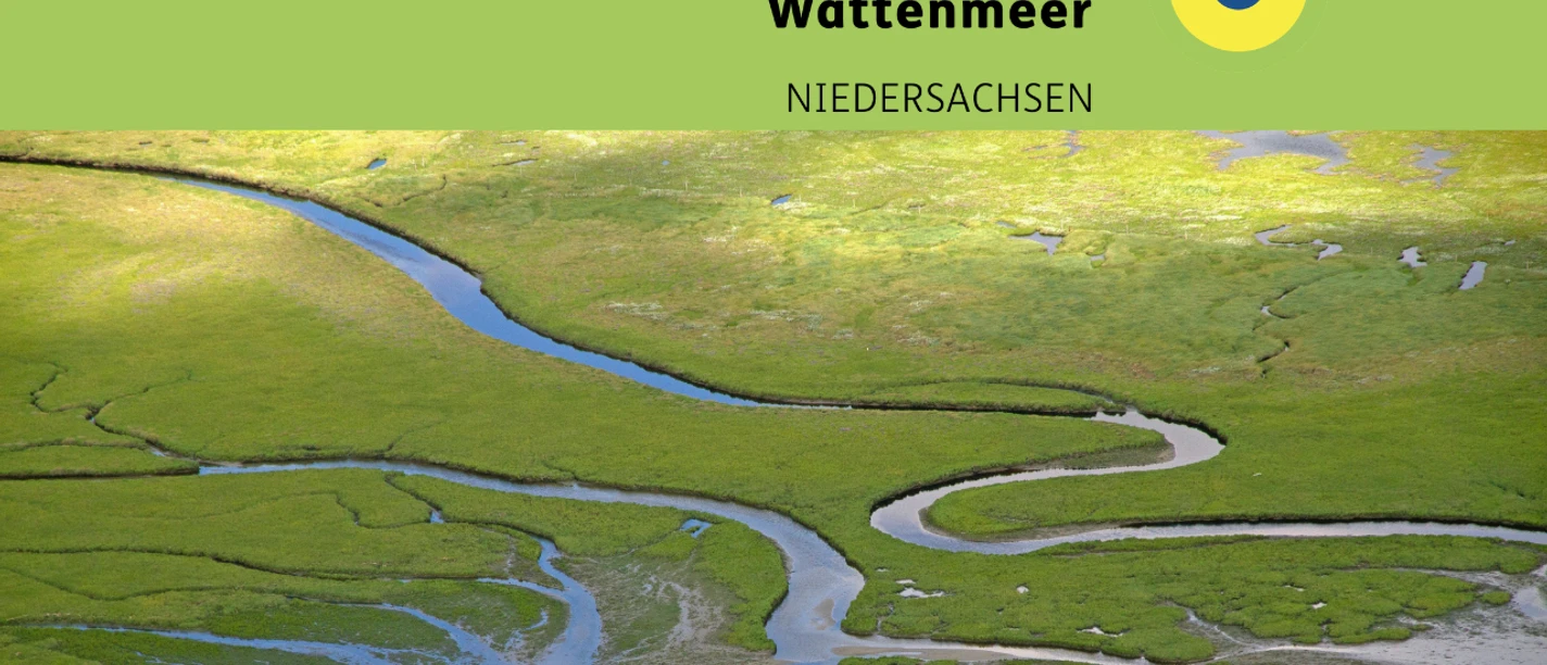 Vortrag.png