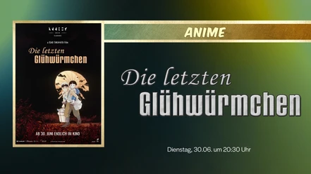 Leinwandbild_ANIME_DIE_LETZTEN_GLÜHWÜRMCHEN(1920x1080px).jpg