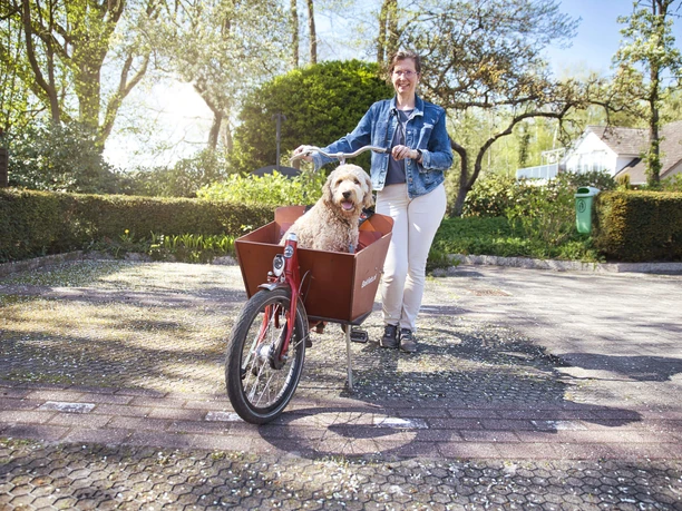 Fahrradverleih-Bad-Zwischenahn-Bakfiets-Hund.jpg Eine lächelnde Frau steht neben einem Lastenrad, in dessen vorderer Box ein heller Hund sitzt.