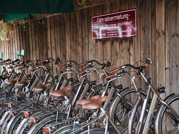Fahrradverleih-Bad-Zwischenahn-Touringrad-Vermietung.jpg Tourenräder der Fahrradvermietung in Bad Zwischenahn stehen aufgereiht an einer Holzwand.