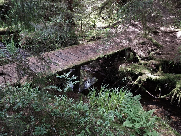 Rundwanderung durchs Wehbachtal (A3)
