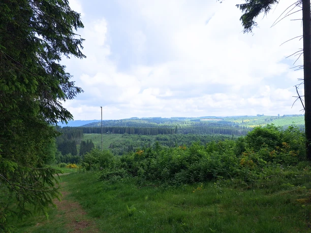 Rundwanderung durchs Wehbachtal (A3)