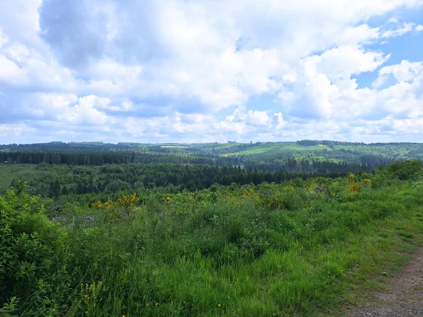 Rundwanderung durchs Wehbachtal (A3)