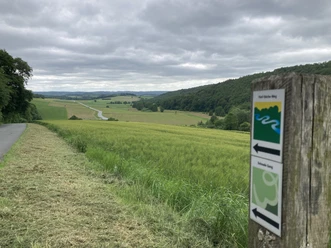 Lühlingsbachtal | Bad Wünnenberg-Bleiwäsche Blick ins Lühlingsbachtal
