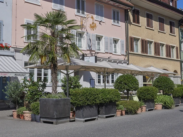 Sempach_Bistro_Restaurant Adler_Aussenansicht.jpg
