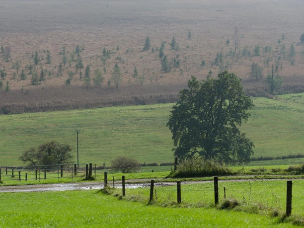 Fernwanderweg - Meditationsweg, erste Etappe - Murnauer Moos