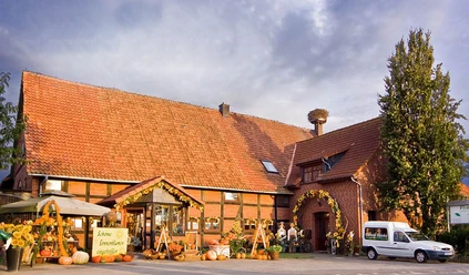Floristik unterm Storchennest Historisches Backsteinhaus mit üppigem Blumenschmuck und Storchenhorst auf dem Dach in ländlicher Umgebung.