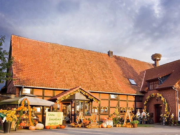 Floristik unterm Storchennest Historisches Backsteinhaus mit üppigem Blumenschmuck und Storchenhorst auf dem Dach in ländlicher Umgebung.