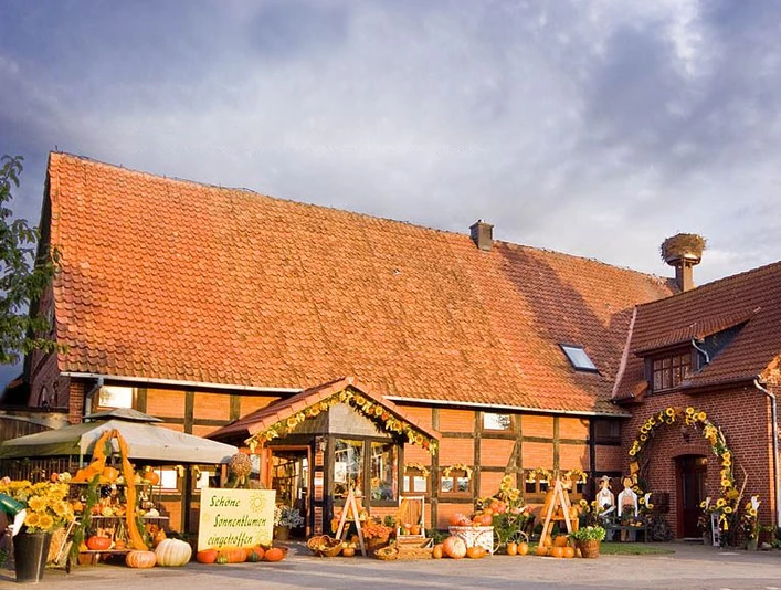 Floristik unterm Storchennest Historisches Backsteinhaus mit üppigem Blumenschmuck und Storchenhorst auf dem Dach in ländlicher Umgebung.