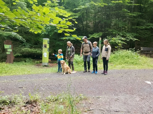 Station vom Wildkatzen-Walderlebnis