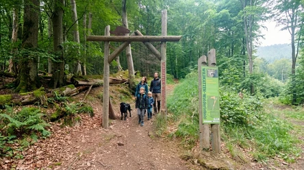 Eingang Wildkatzen-Walderlebnis