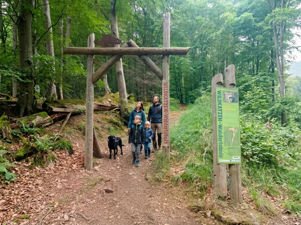 Eingang Wildkatzen-Walderlebnis