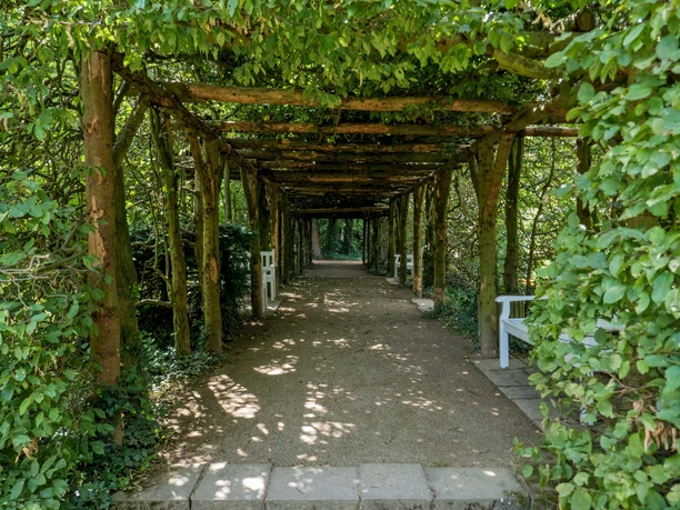 Heckengarten Überdachter Laubengang aus Holz mit dichtem Grün, Kiesweg und weißen Bänken im Heckengarten