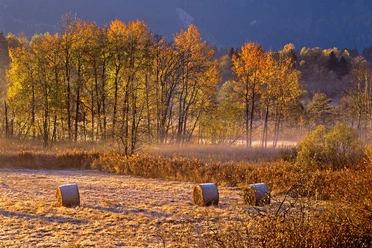 Radtour - Durchs Murnauer Moos - Herbststimmung im Moos