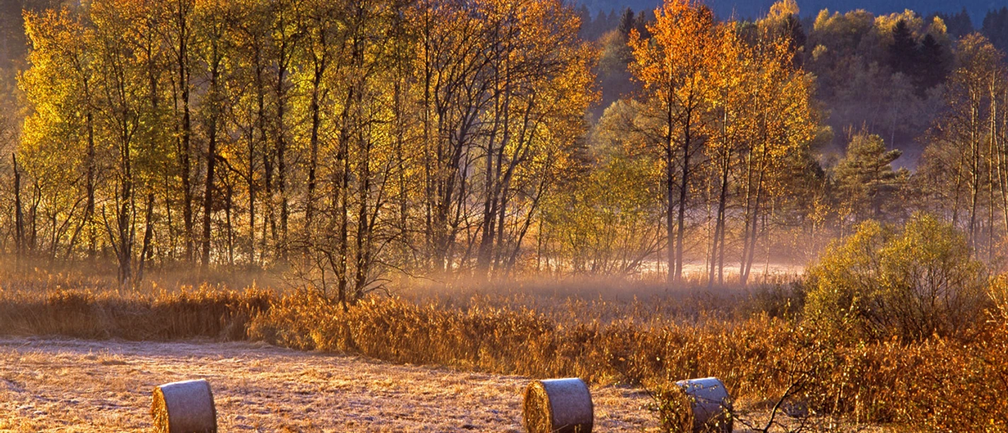 Radtour - Durchs Murnauer Moos - Herbststimmung im Moos