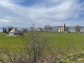 Blick auf die Insel Ufnau mit Inselwirtschaft, Kapelle St. Martin und Kirche St. Peter und Paul