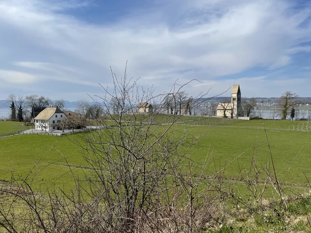 Blick auf die Insel Ufnau mit Inselwirtschaft, Kapelle St. Martin und Kirche St. Peter und Paul