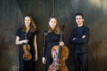 Amelio Trio (1) Ir ne Zandel
