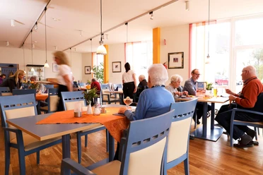 cafeteria_1-36 Menschen verschiedener Altersgruppen genießen Mahlzeiten in einem sonnendurchfluteten Café.