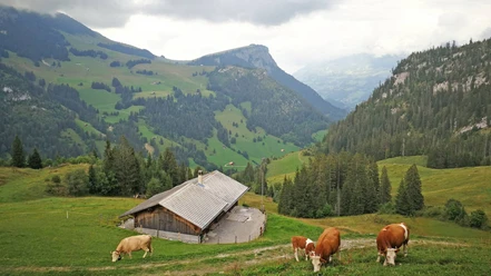 sennhuette-menigwald-aussenansicht-k-he