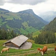 sennhuette-menigwald-aussenansicht-k-he