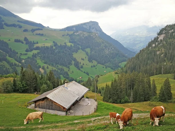 sennhuette-menigwald-aussenansicht-k-he