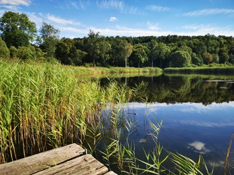 Walkenrieder Teichlandschaft