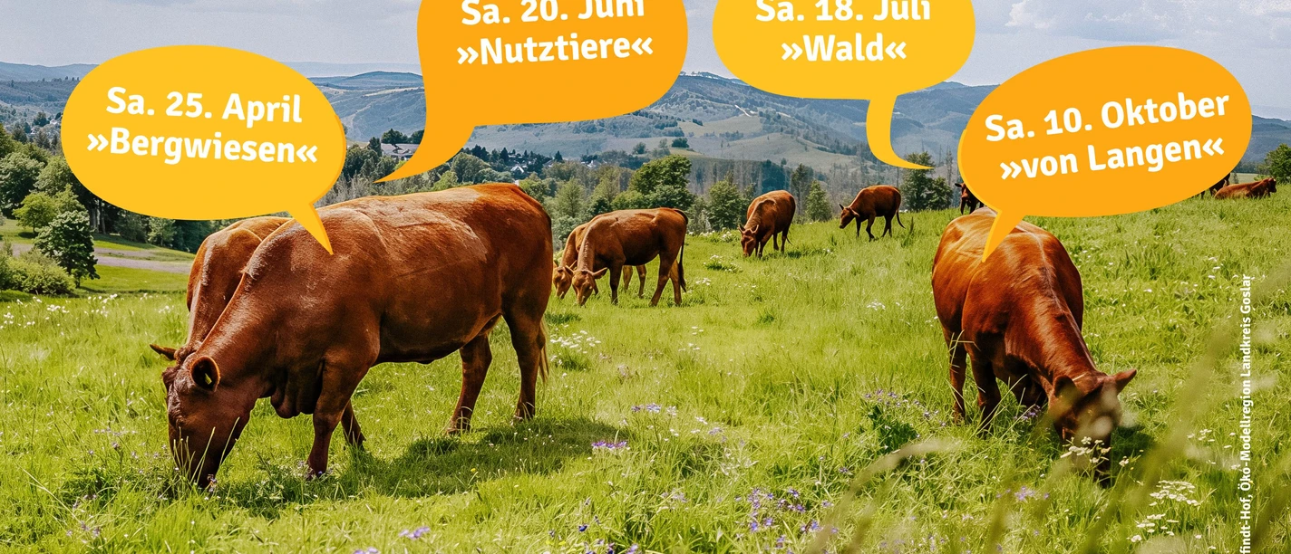 Nachhaltigkeitsmarkt_2026_Plakat_08.jpg