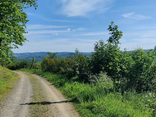 Sonniger Ausblick