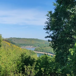 Ausblick auf die Obernau Talsperre