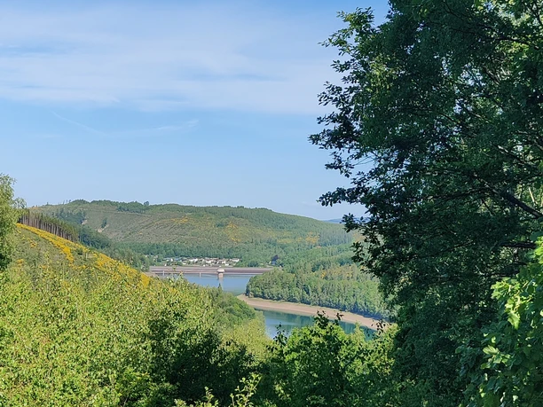 Ausblick auf die Obernau Talsperre