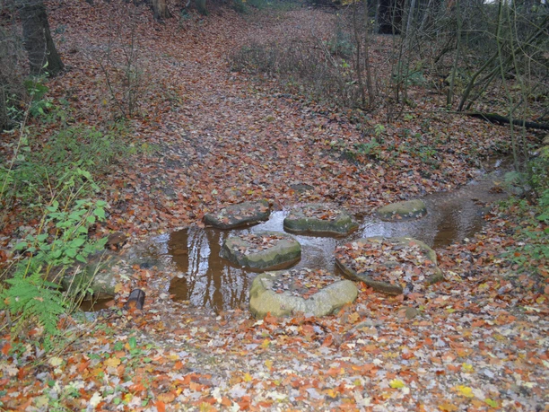 Trittsteinstufen Uelsen-1.jpg