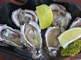 juister_auster-schlemmen-juist Juister Auster