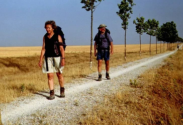 Film Kulturprogramm El Camino