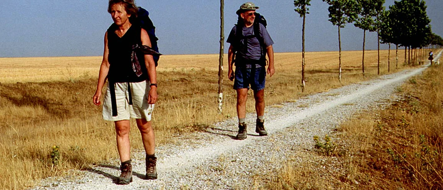 Film Kulturprogramm El Camino