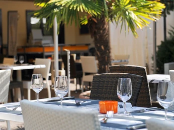 hotel-alpha-thun-terrasse-fruehling