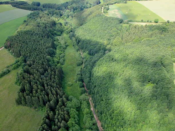 Luftbild Höddelbachtal