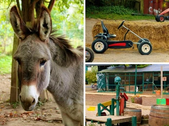 Spiel und Spaß Ein freundlicher Esel, ein Kettcar-Parcours und ein Wasserspielplatz vor einer grünen Kulisse.