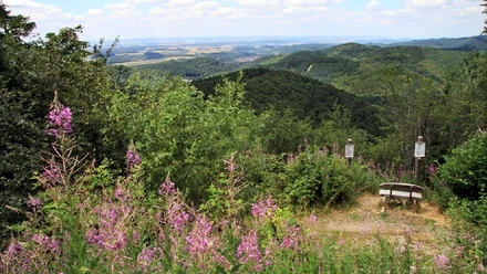 Ravensberg12_Bad_Sachsa.jpg02_01.jpg
