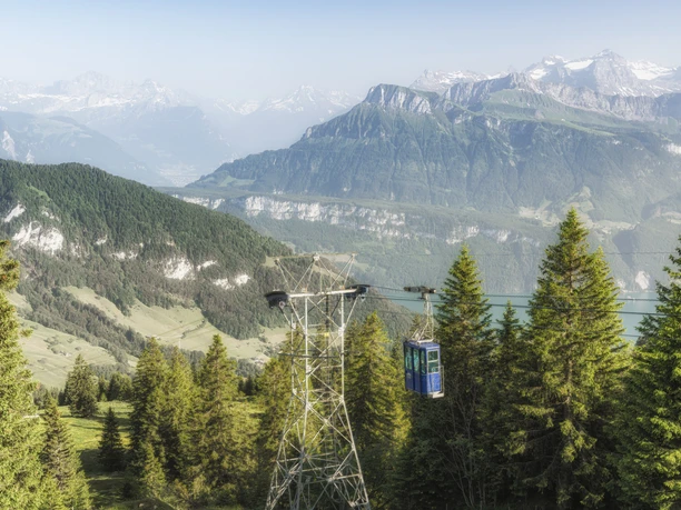 Rigi_Burggeist_Sommer_DSC0244_(c)zuerrer_b.jpg