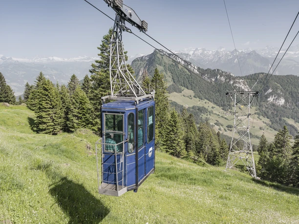 Rigi_Burggeist_Sommer_DSC0220_(c)zuerrer.jpg