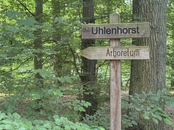 Wegweiser zum Arboretum