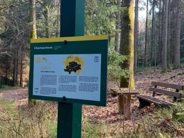 Achtsamkeitspfad Bad Elster Achtsamkeitspfad Bad Elster