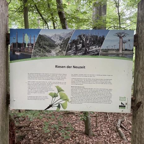 Informationstafel im Arboretum