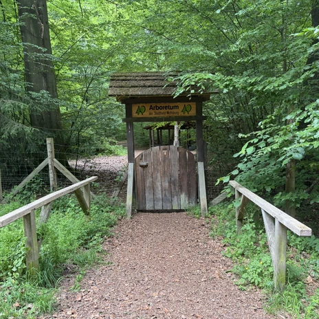 Hölzernes Eingangstor ins Arboretum.