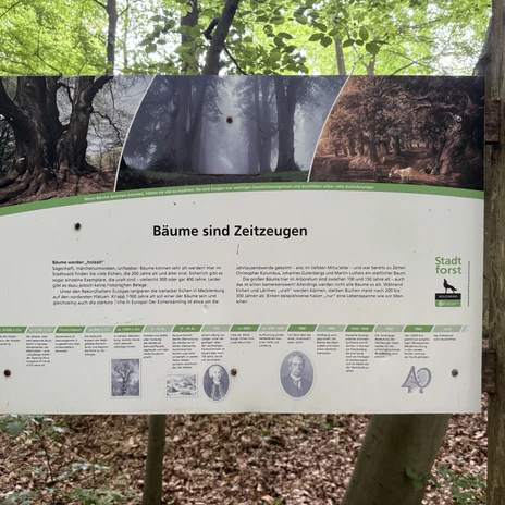 Informationstafel im Arboretum.