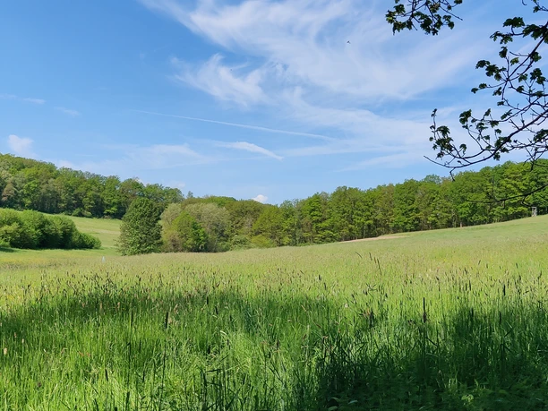 Blick in die Felder