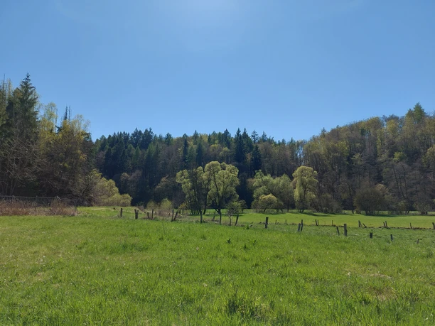 Diemeltal