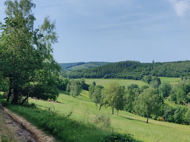 Ausblick ins Sinnerbachtal