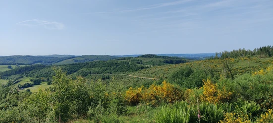 Weitblick übers Sehlbachtal